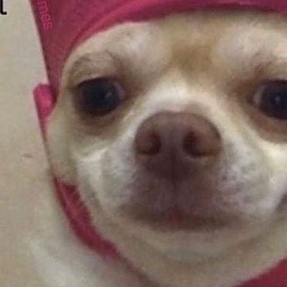 Meet your Posher, Alex - Picture 1 of 1